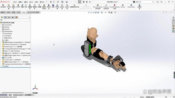 adams2025安装步骤详解？-图1