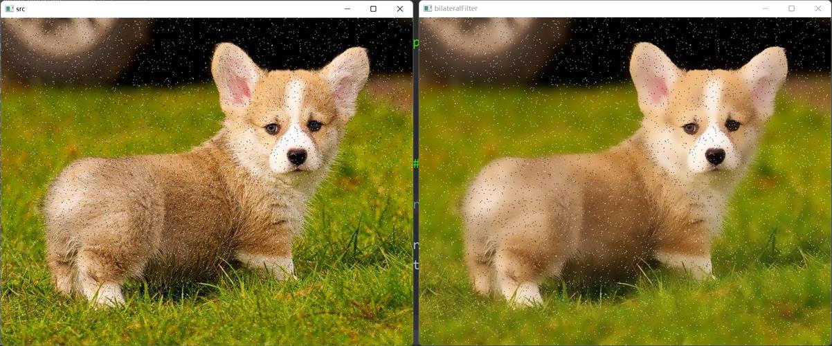 OpenCV Python中如何实现SIFT特征提取？-图1