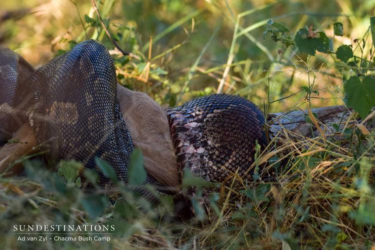 Python核心知识该如何快速掌握？-图3