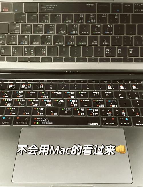 MacBook新手如何快速上手？-图2