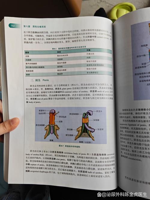 林文信12小时基础教程，12小时能学会钢琴吗？-图1