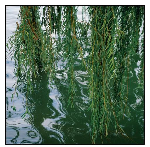 尼康D5300新手怎么用?-图3 尼康D5300新手怎么用?-图3