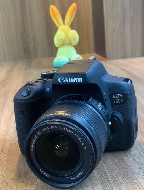 佳能750D新手怎么用?关键操作有哪些?-图2 佳能750D新手怎么用?关键操作有哪些?-图2