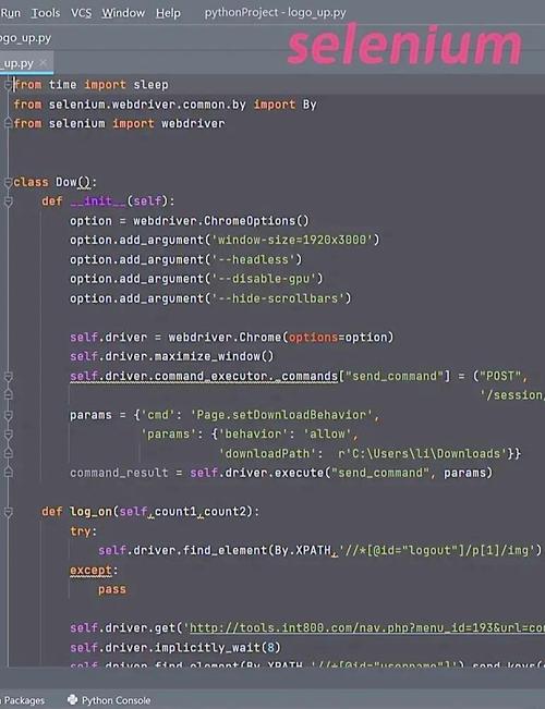 Selenium Python怎么入门？-图2