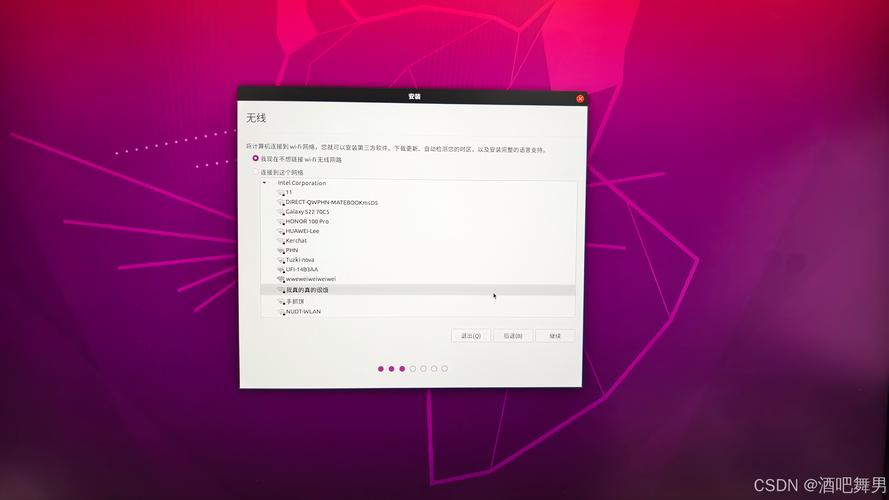 双系统Ubuntu安装教程详细步骤是怎样的？-图3