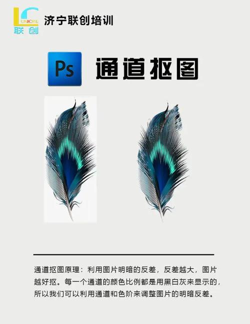 PS抠图教程，零基础怎么快速学会？-图3