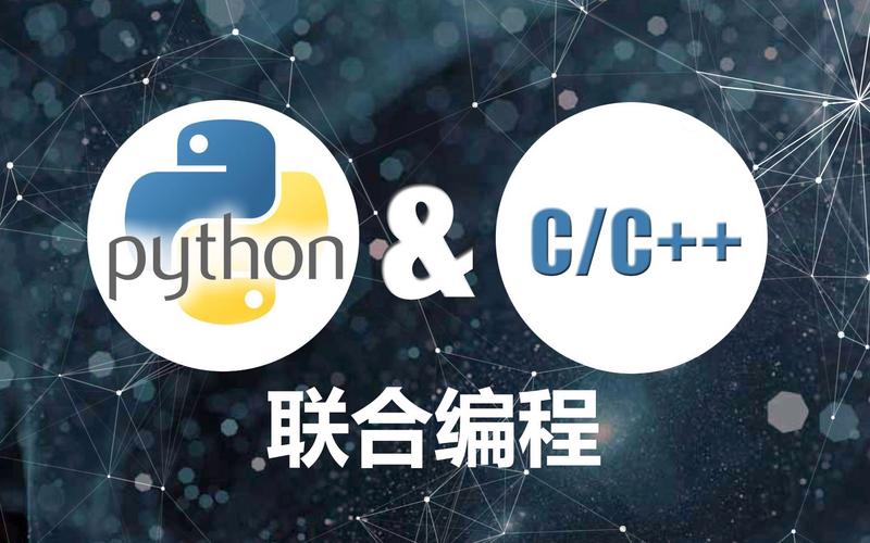 Python、Protobuf、C 如何协同工作？-图1