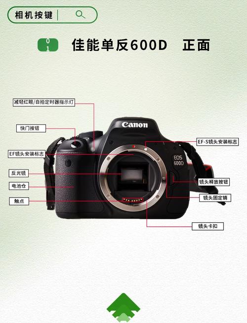 600d新手怎么拍出好照片？-图1