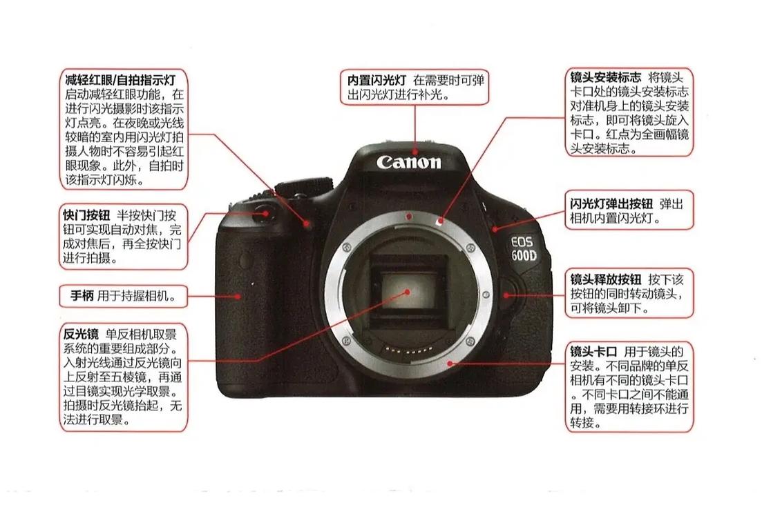 600d新手怎么拍出好照片？-图2