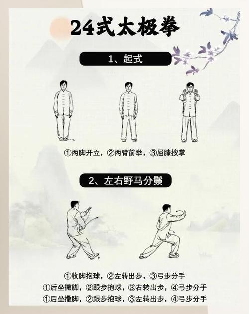 24式太极拳初学，跟着视频能学会吗？-图1
