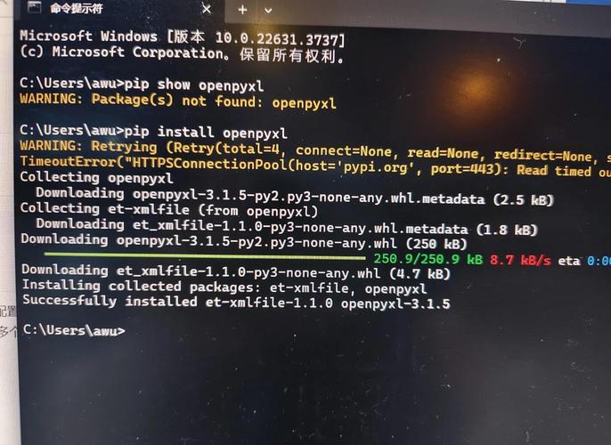 如何用python openpyxl下载文件？-图1