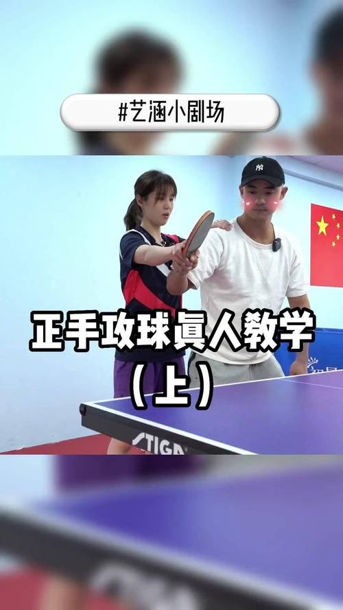 乒乓球初学者怎么学？教学视频教程从哪看？-图3