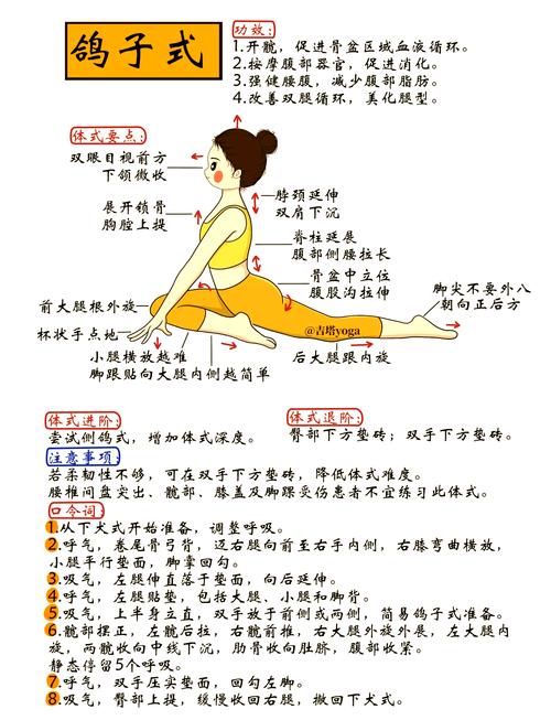 每日瑜伽减肥瑜伽初级教程-图2