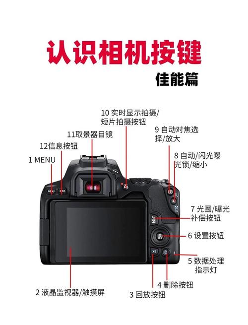 佳能650D新手如何快速上手?-图2 佳能650D新手如何快速上手?-图2