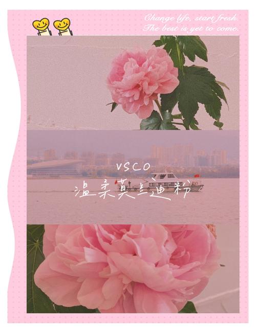 VSCO少女粉怎么调？新手也能学吗？-图1