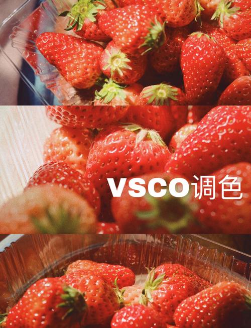 vsco新版怎么使用教程-图2