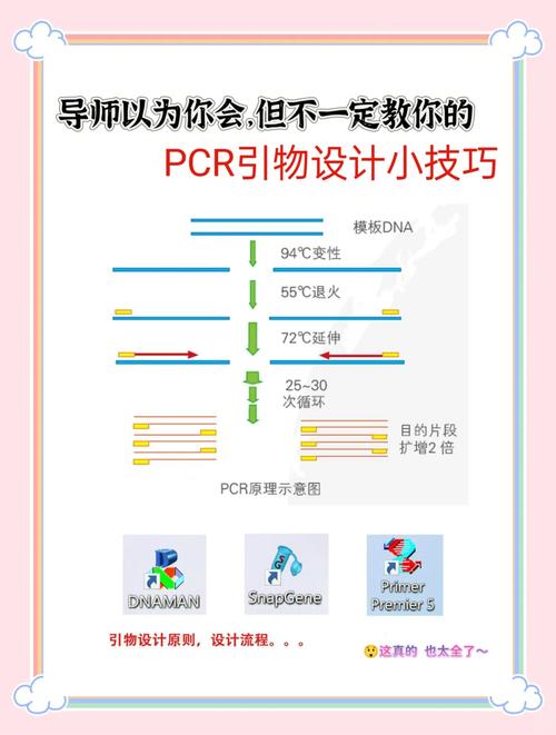 如何快速掌握HTML5响应式布局？-图1