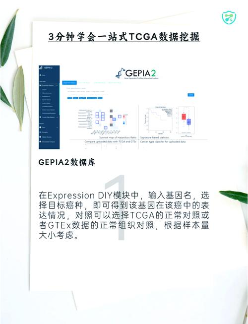 TCGA数据库怎么用?新手入门指南看这里!-图1 TCGA数据库怎么用?新手入门指南看这里!-图1