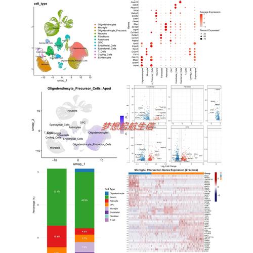 TCGA数据库怎么用?新手入门指南看这里!-图2 TCGA数据库怎么用?新手入门指南看这里!-图2