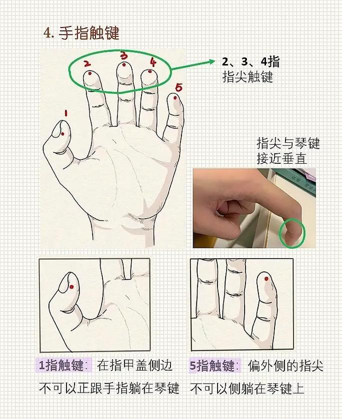 电子钢琴入门自学视频,新手如何快速上手?-图3 电子钢琴入门自学视频,新手如何快速上手?-图3