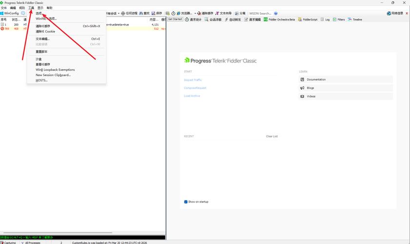 fiddler汉化版教程怎么用？-图1