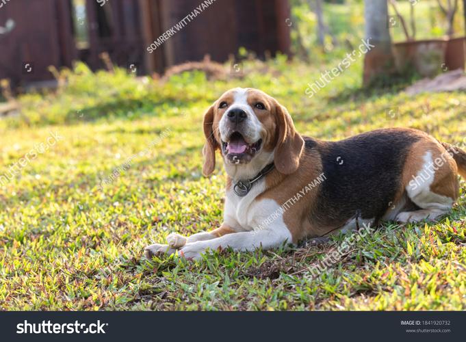 Python如何操控BeagleBone？-图2