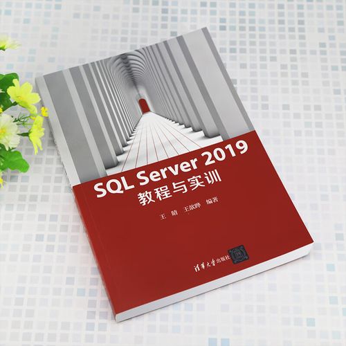 SQLServer教程，从零开始学怎么学？-图3