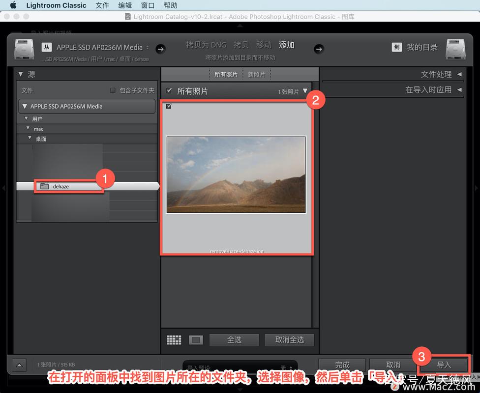 Lightroom教程从哪学起？新手入门必看指南！-图1