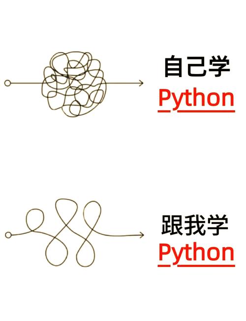 Python中如何正确使用setsockopt？-图1