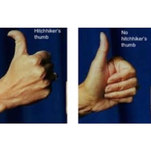 Hitchhiker Python，如何高效实现？-图2