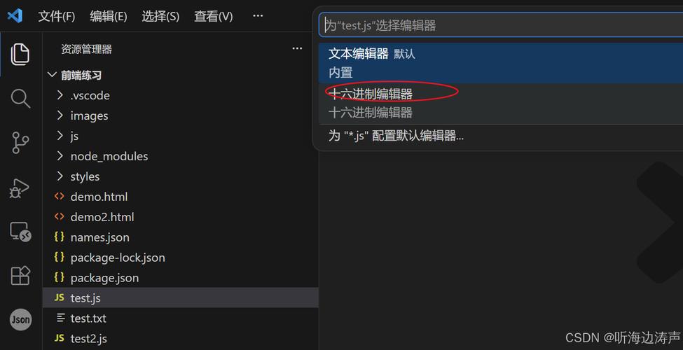 vscode下载安装教程-图2