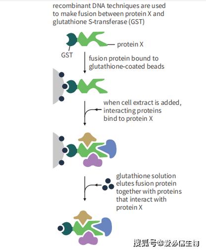 Sarscape教程如何上手？-图1