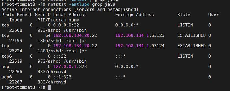 Tomcat如何部署Java Web应用？-图2