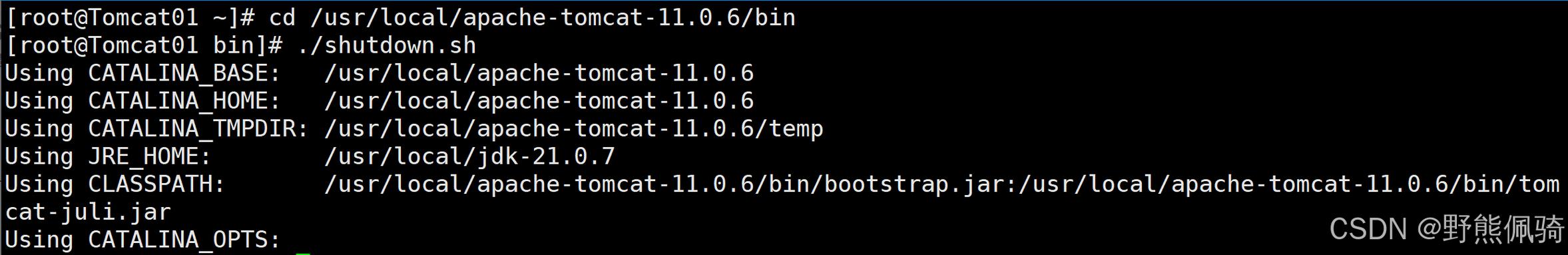 Tomcat如何部署Java Web应用？-图3