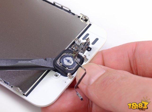 拆iPhone 5s教程，新手必看步骤？-图1