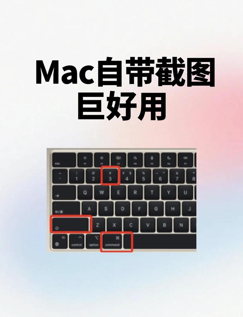 mac OS新手怎么用？入门教程有哪些？-图2