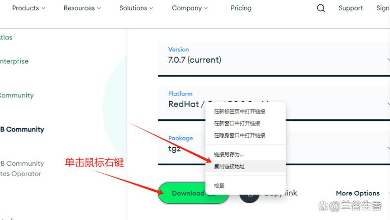 Java中MongoDB OR查询怎么写？-图2
