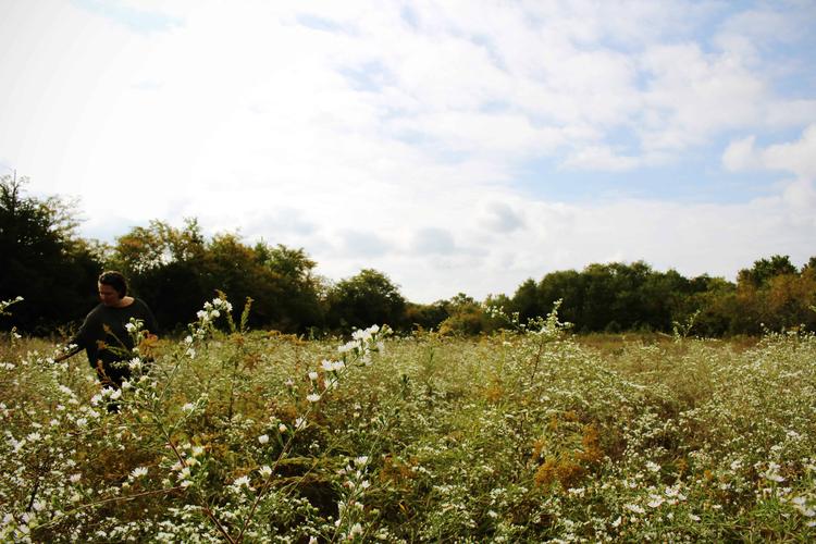 Python中如何使用bigdecimal？-图3