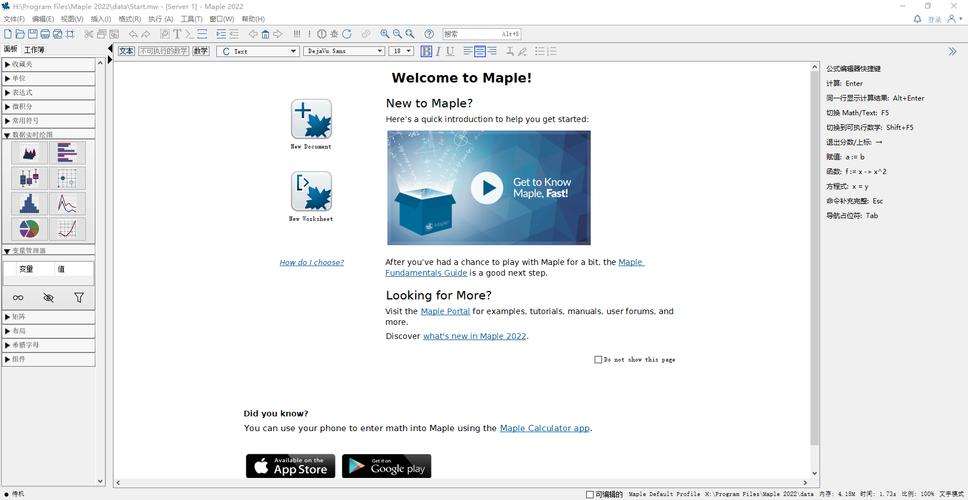 maple教程.pdf如何快速上手？-图1