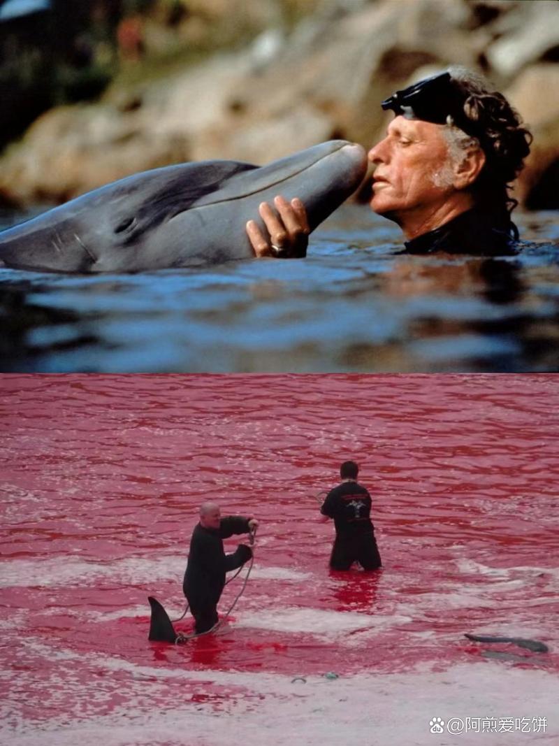 Java海中藏着什么秘密？-图2