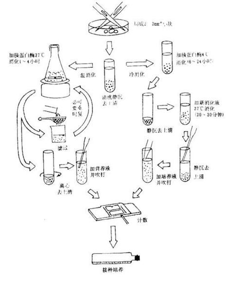 em plant教程该怎么学?-图3 em plant教程该怎么学?-图3