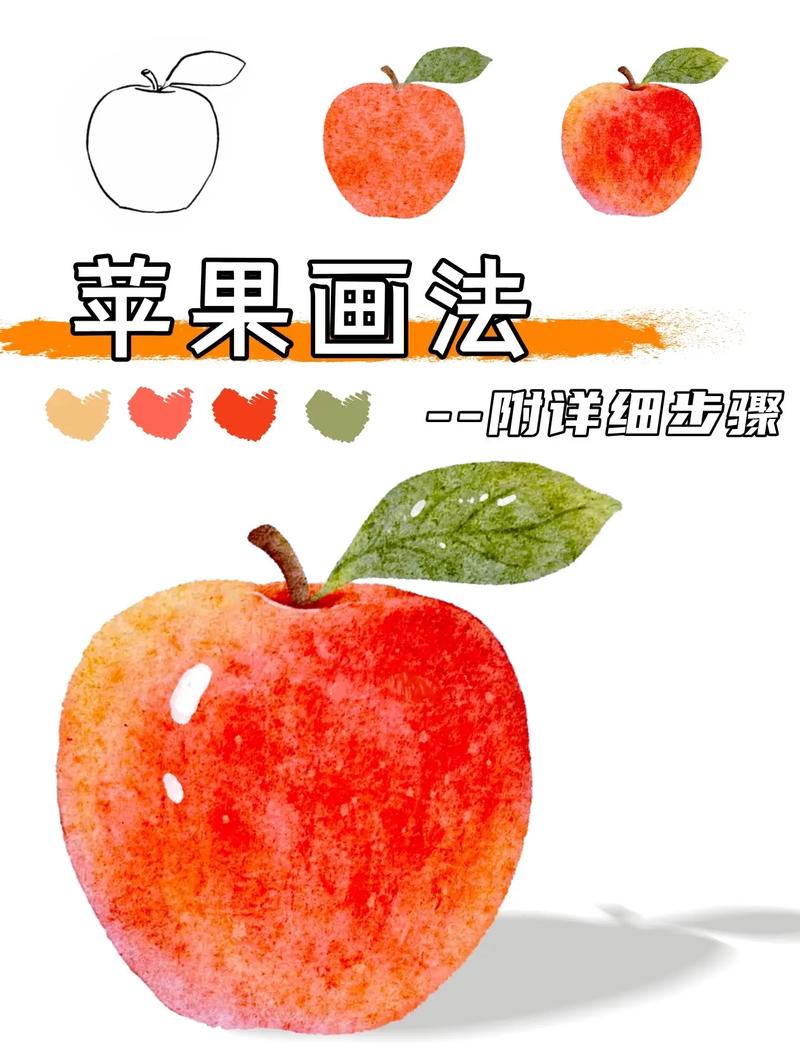 苹果Pro教程视频该怎么学？-图3