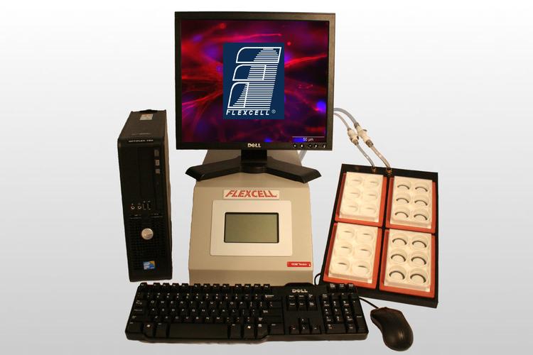 Java FlexPaper如何实现PDF在线预览？-图2