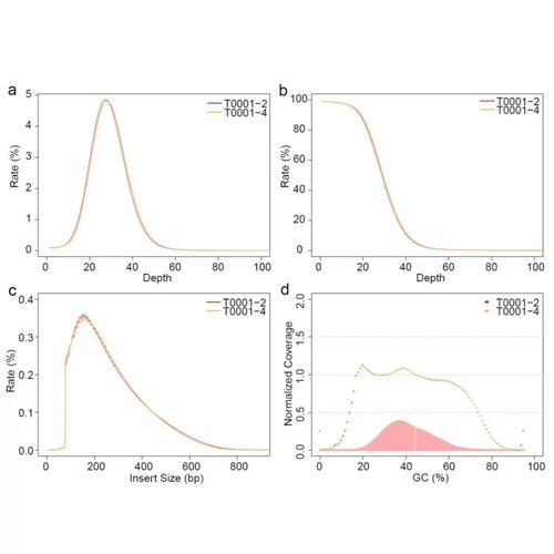 R Studio教程怎么学？新手入门指南？-图2