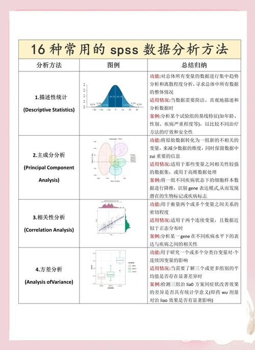 IBM SPSS教程该怎么学？-图1