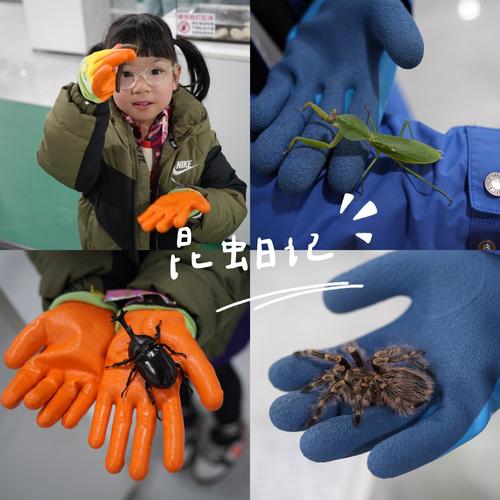 Tornado爬虫，异步高并发如何实现？-图1