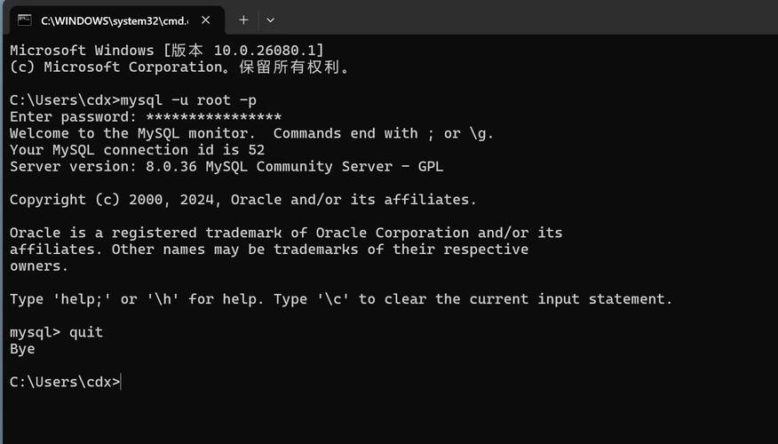 Java如何启动MySQL服务？-图3
