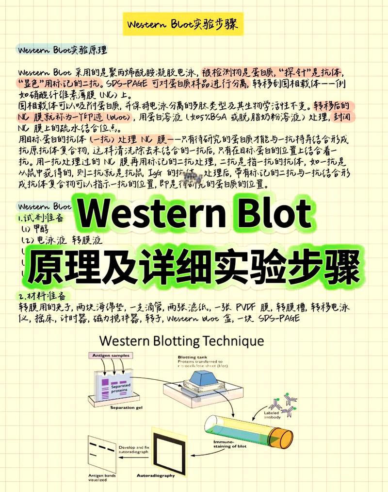 xprivacy 教程-图1