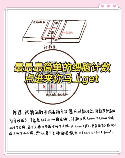 CoreData教程，如何从零开始学习？-图2