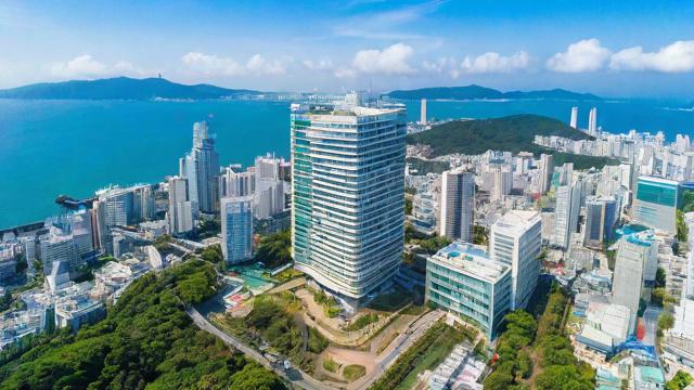 台湾德信IC的性能和市场表现究竟如何?